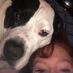 Meet your Posher, Abigail